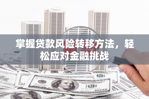文昌掌握贷款风险转移方法，轻松应对金融挑战